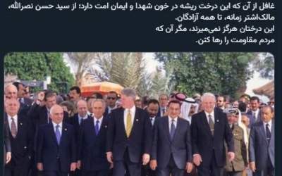 درخت مقاومت هرگز نمی میرد