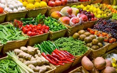 افزایش ۳۵ درصدی صادرات کشاورزی ایران