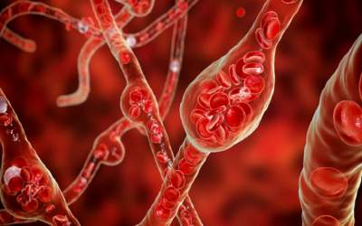 کاهش فشار خون با نوشیدن ۴ فنجان چای سیاه