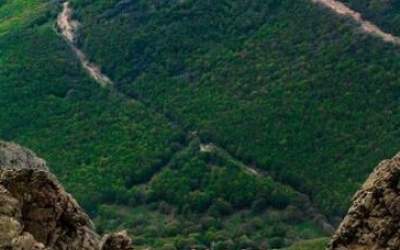عکس/ جنگل‌های ارسباران نگین سرسبز آذربایجان