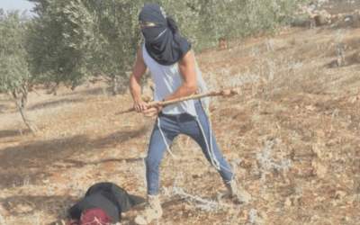 چماق زدن زن فلسطینی به دلیل چیدن زیتون!