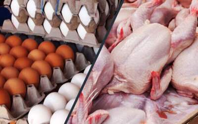 قیمت مرغ و تخم‌مرغ تا پایان سال تغییر نمی‌کند