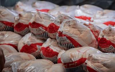 تهرانی‌ها روزانه ۱۷۰۰ تن مرغ می‌خورند