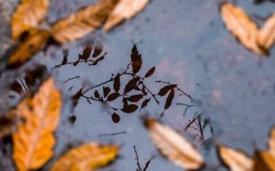 رگبار و رعدوبرق در برخی استان‌های کشور