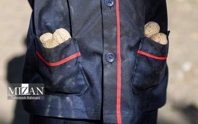 برداشت گردو با دستگاه مکانیزه  <img src="https://cdn.jahannews.com/images/picture_icon.png" width="16" height="16" border="0" align="top">