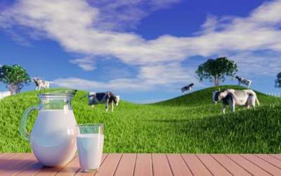 قیمت شیر افزایش یافت