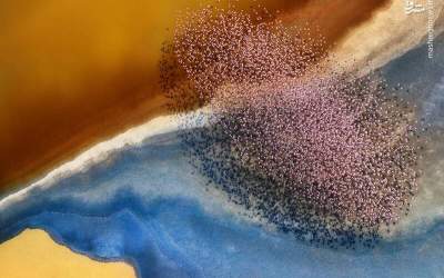 تصاویر شگفت‌انگیزی از طبیعت از دید یک پهپاد  <img src="https://cdn.jahannews.com/images/picture_icon.png" width="16" height="16" border="0" align="top">