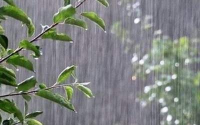 رگبار باران در نوار شمالی/ دریای خزر مواج می‌شود