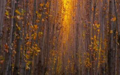 عکس/ پاییز چشم نواز در حشمت‌آباد لرستان