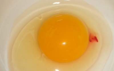 حکم وجود لکه خون در تخم مرغ +فیلم  <img src="https://cdn.jahannews.com/images/video_icon.png" width="16" height="16" border="0" align="top">