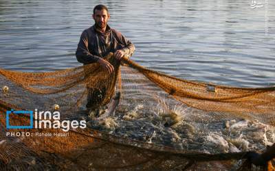 عکس/ بخشندگی یک روز دریا به ماهیگیر