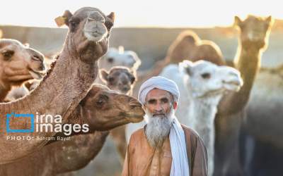 تصاویر «چابهار» رنگ، فرهنگ و زندگی  <img src="https://cdn.jahannews.com/images/picture_icon.png" width="16" height="16" border="0" align="top">