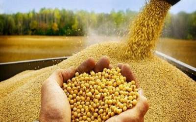 آخرین وضعیت تامین و توزیع نهاده‌های دامی  <img src="https://cdn.jahannews.com/images/video_icon.png" width="16" height="16" border="0" align="top">