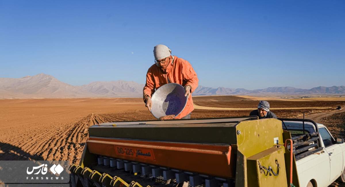 آغاز کاشت گندم در لرستان  