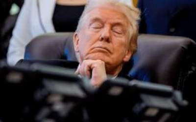 گفت و شنود/ گاو خر است!