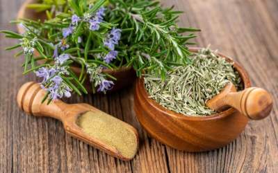 آیا رزماری واقعاً جای زخم را از بین می‌بَرَد؟