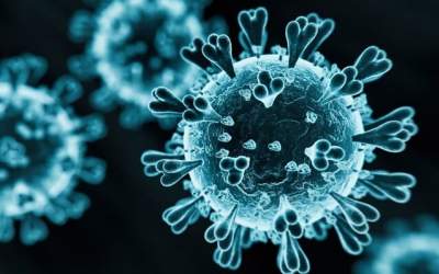 واکنش معاون وزیر بهداشت به اخبار «کرونای تیغی»