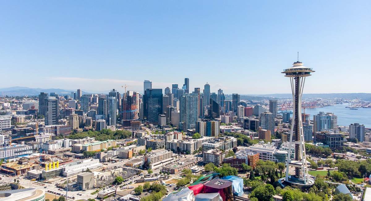 کیتی ویلسون، ممدانیِ جدید در سیاتل آمریکا  