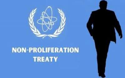 گفت و شنود/ مرغان هوا...!