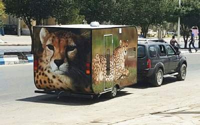 مردی که خانه‌اش را فروخت تا ناجی یوزپلنگ باشد