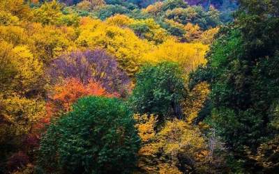 عکس/ طبیعت رنگارنگ النگ‌دره