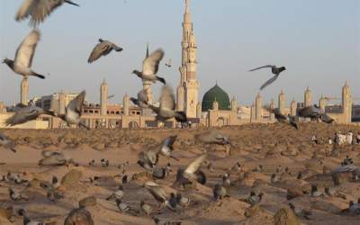 چرا روایت دقیقی از زمان شهادت حضرت زهرا(س) نیست؟