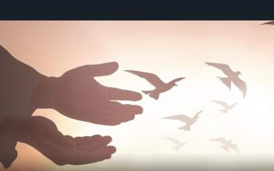 بخشش یک متهم به حرمت حضرت زهرا(س)