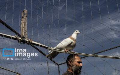 جمعه‌ها در قفس  <img src="https://cdn.jahannews.com/images/picture_icon.png" width="16" height="16" border="0" align="top">