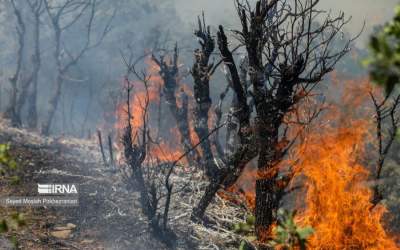 پرواز دو فروند ایلیوشین به سمت جنگل الیت  <img src="https://cdn.jahannews.com/images/video_icon.png" width="16" height="16" border="0" align="top">