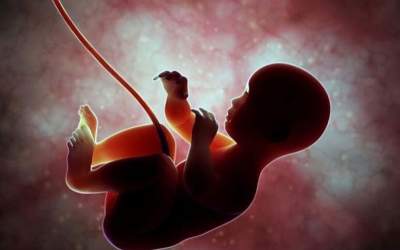 طرحی که جلوی سقط ۱۹۰۰۰ جنین را گرفت  <img src="https://cdn.jahannews.com/images/video_icon.png" width="16" height="16" border="0" align="top">