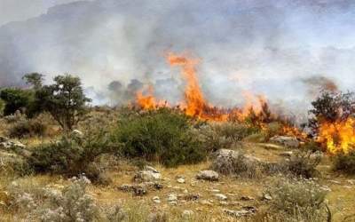 صدور هشدار افزایش دما و آتش‌سوزی جنگل‌ها