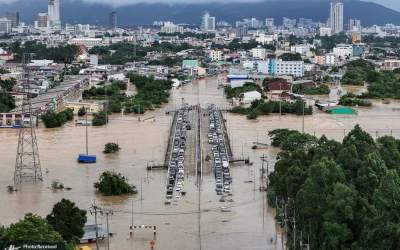 مار‌های بزرگ در خیابان‌های شهر +فیلم  <img src="https://cdn.jahannews.com/images/video_icon.png" width="16" height="16" border="0" align="top">