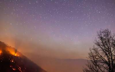 آتش‌افروز هیرکانی دستگیر شد