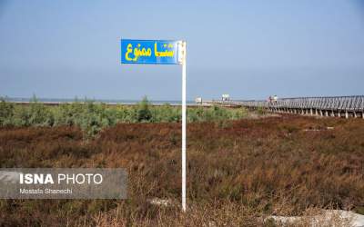 عکس/ اینجا شنا ممنوع بود