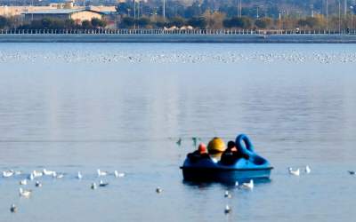 چرا مالیات بر خانه‌های خالی شکست خورد؟