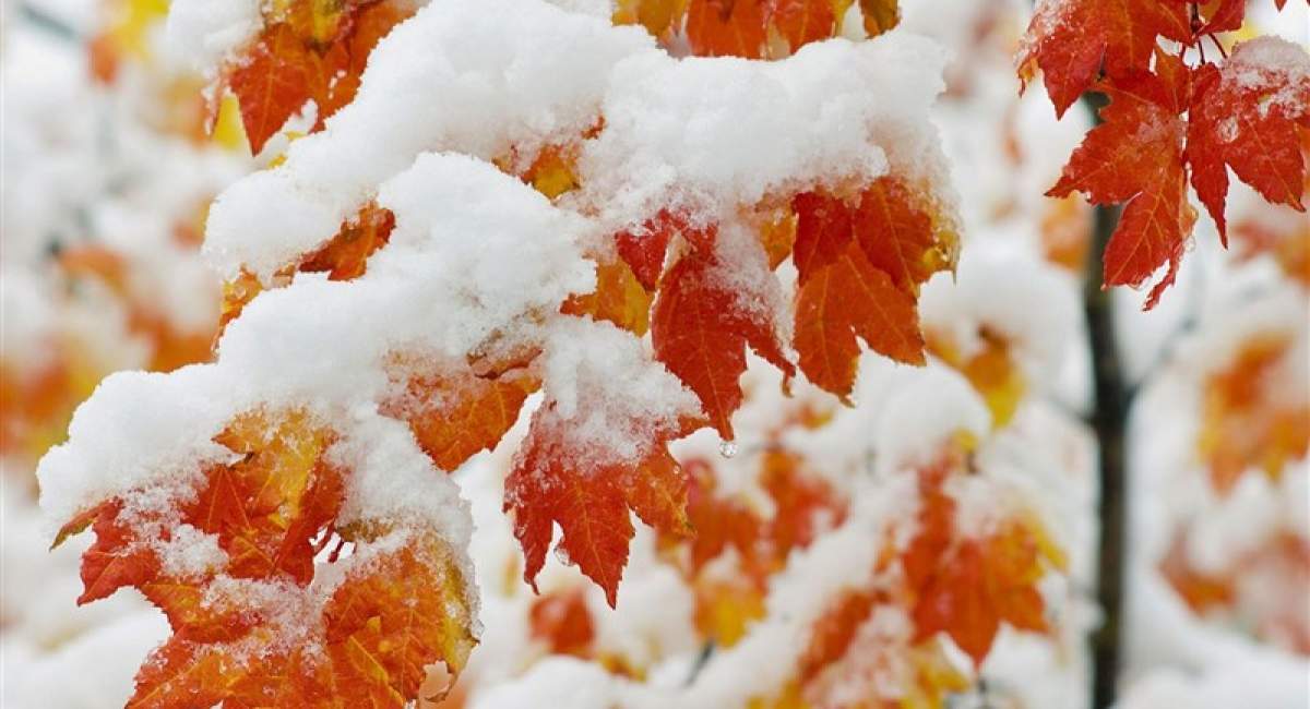 برف و باران در ۲۳ استان کشور