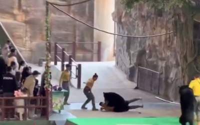 کشتی خرسی در چین! +فیلم  <img src="https://cdn.jahannews.com/images/video_icon.png" width="16" height="16" border="0" align="top">