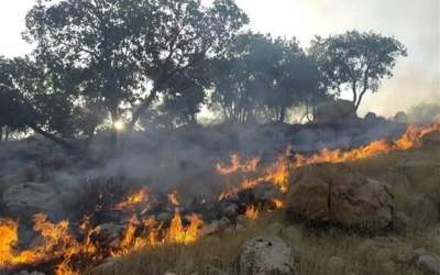 انتقاد نمایندگان از گزارش آتش‌سوزی جنگل‌های هیرکانی