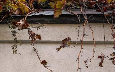 بارش باران در نقاط مختلف کشور