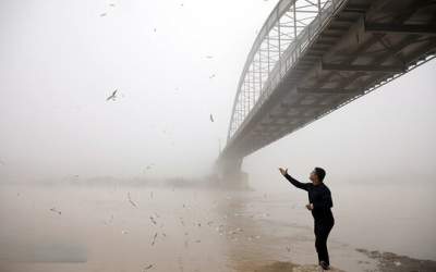 هشدار قرمز برای این استان +فیلم  <img src="https://cdn.jahannews.com/images/video_icon.png" width="16" height="16" border="0" align="top">