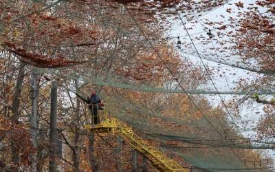 عکس/ تورهای ضدپهپاد در خطوط مقدم اوکراین!