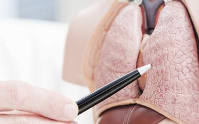 بهترین خوراکی‌ها برای پاکسازی ریه از گرد و خاک