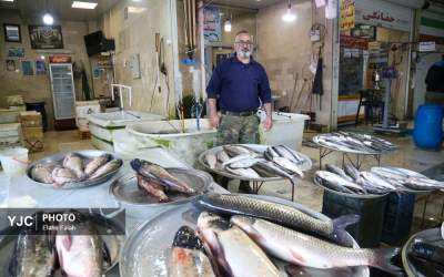 عکس/ موجودی که از سفره‌ها در حال پرکشیدن است