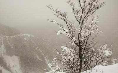 بارش برف در عربستان!  <img src="https://cdn.jahannews.com/images/video_icon.png" width="11" height="10" border="0" align="top">