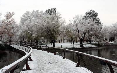 بارش برف در مشهد  <img src="https://cdn.jahannews.com/images/picture_icon.png" width="11" height="10" border="0" align="top">