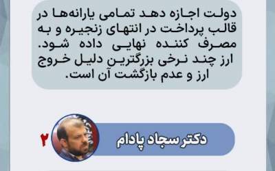 دولت برای ثبات بازار ارز چه کند؟