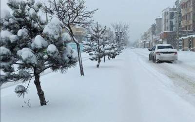 بارش برف در محور طالقان هشتگرد +فیلم  <img src="https://cdn.jahannews.com/images/video_icon.png" width="11" height="10" border="0" align="top">