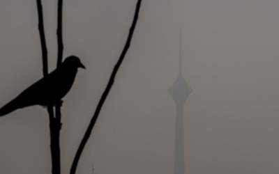 مدارس ابتدایی تهران فردا مجازی شد