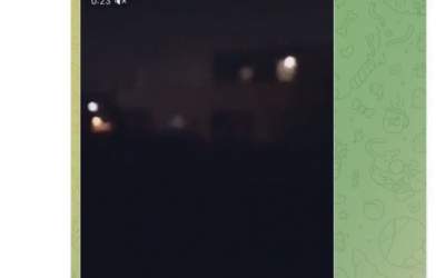 این‌ها ‌رسما گاو هستند!