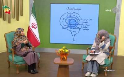 خشم کدام قسمت مغز انسان است؟  <img src="https://cdn.jahannews.com/images/video_icon.png" width="11" height="10" border="0" align="top">